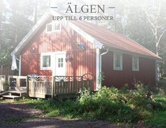 ÄLGEN